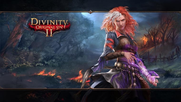Divinity: Original Sin 2, The way a MacOS game should be done.