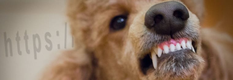 Security Alert: POODLE Attacks SSL3